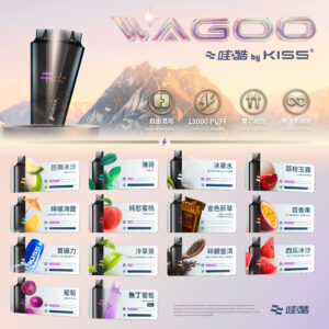 迪拜爆款【WAGOO❣️哇酷拋棄式6500口❣️】by KIS5 的高端品牌 滿10送1請備注口味